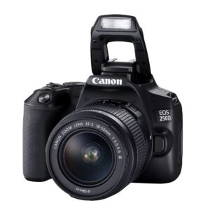 Appareil photo Canon EOS 250D avec objectif EF-S 18-55mm f/4-5.6 IS STM