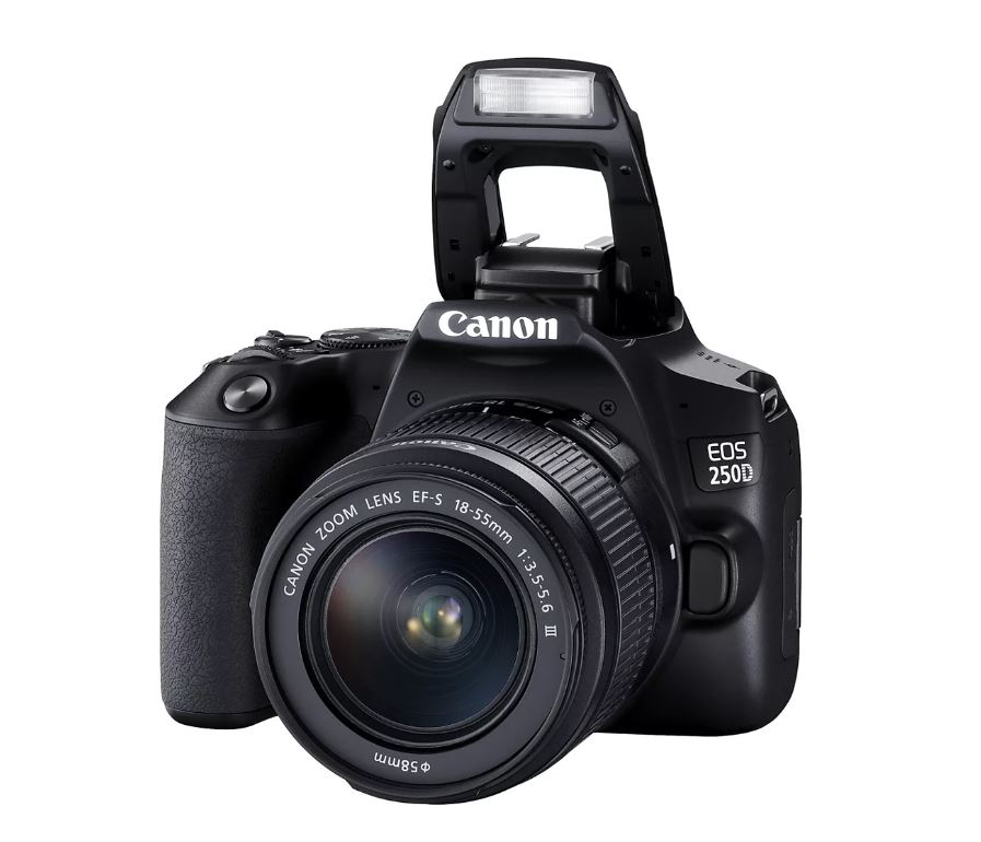 Appareil photo Canon EOS 250D avec objectif EF-S 18-55mm f/4-5.6 IS STM