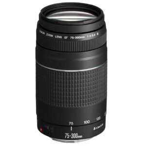 Objectif reflex Canon EF 75 - 300 mm f/4.0 - 5.6 III USM